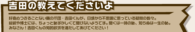 吉田君の教えてくださいよ
